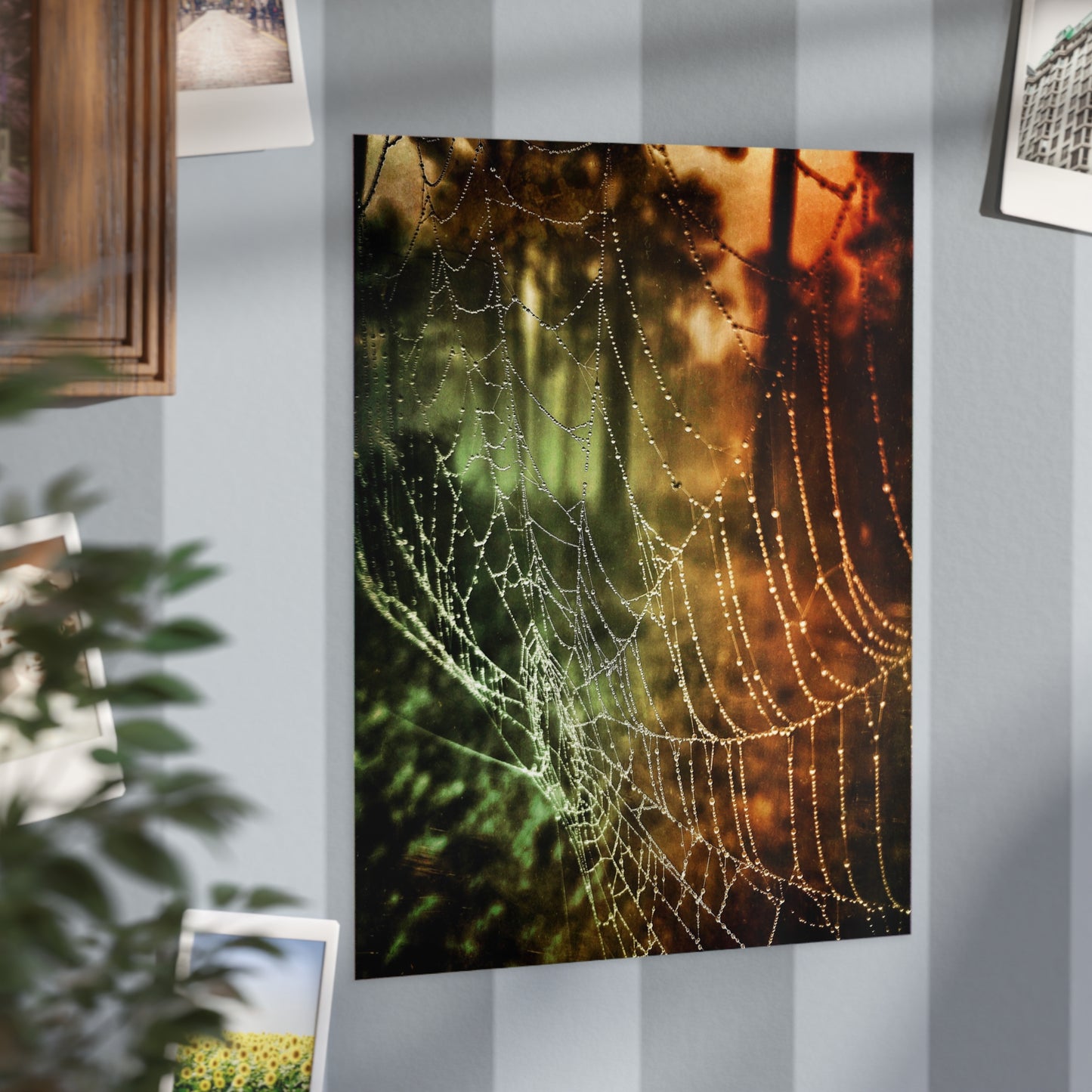 Tears of Dawn Paper Print