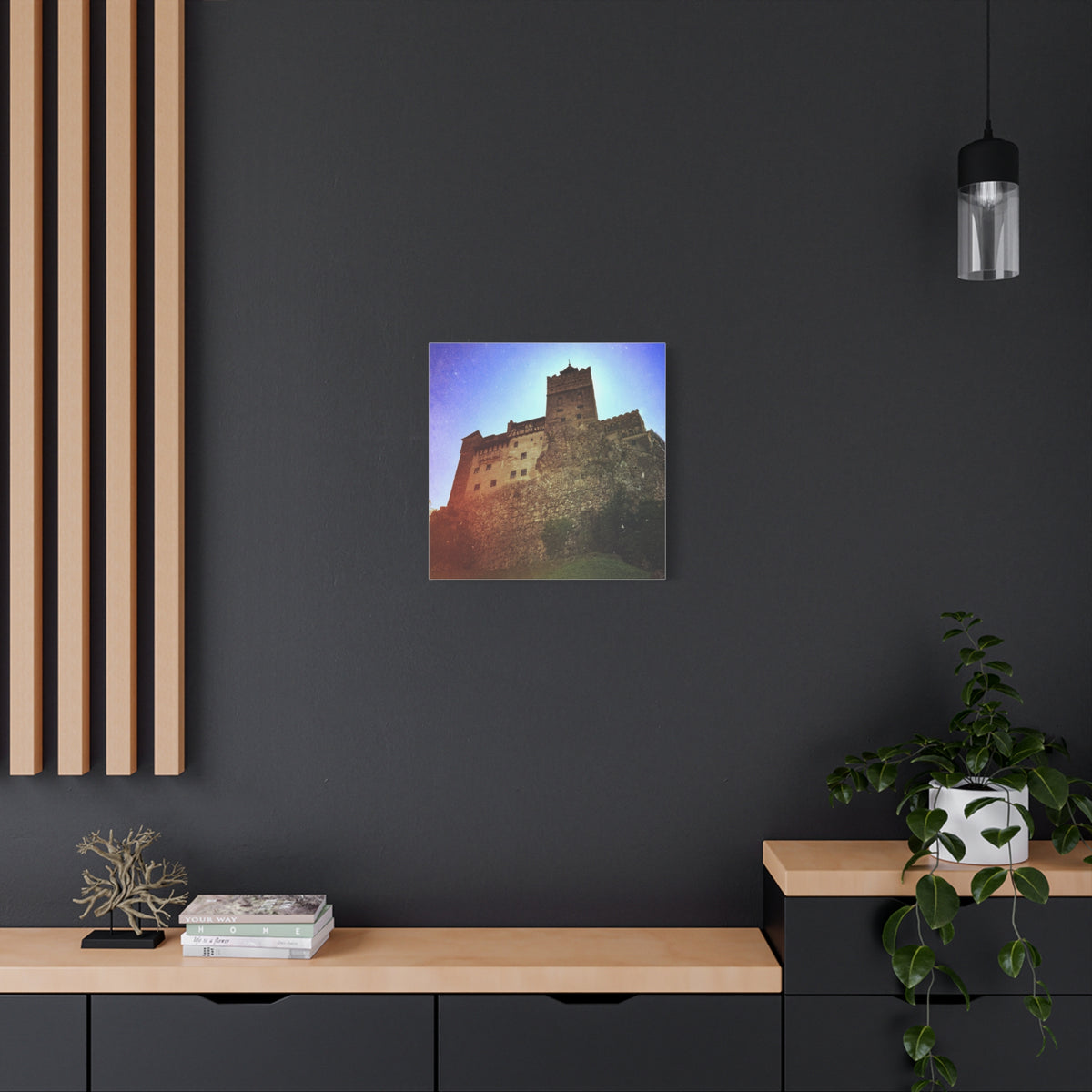 Castle Dracula Matte Canvas, Stretched, 1.25"