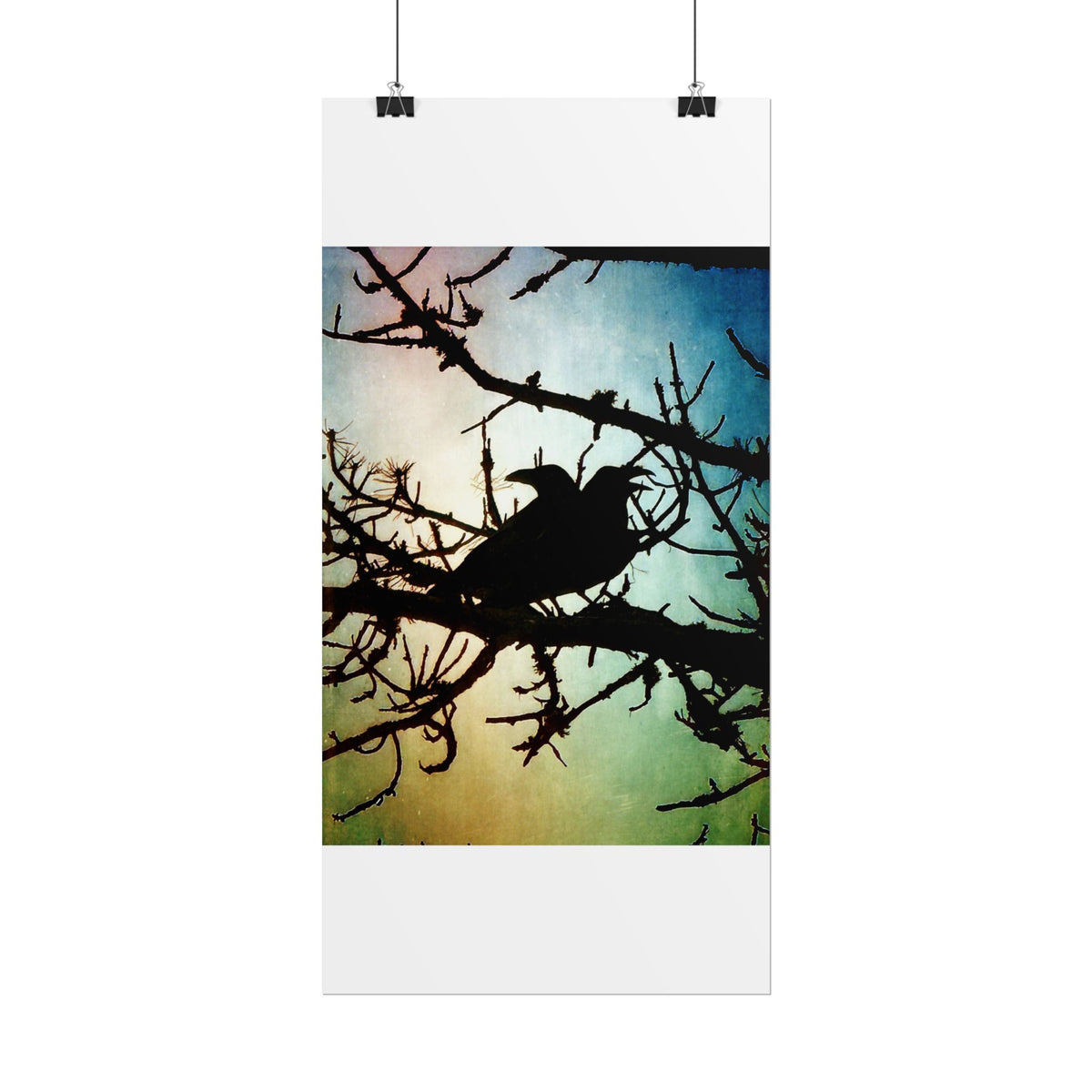 Rolled Posters