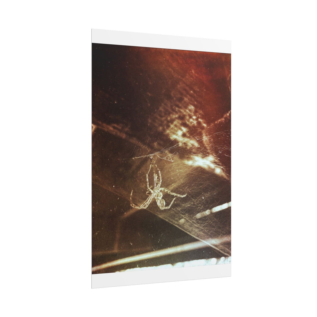 Discarded Nightmare Rolled Posters