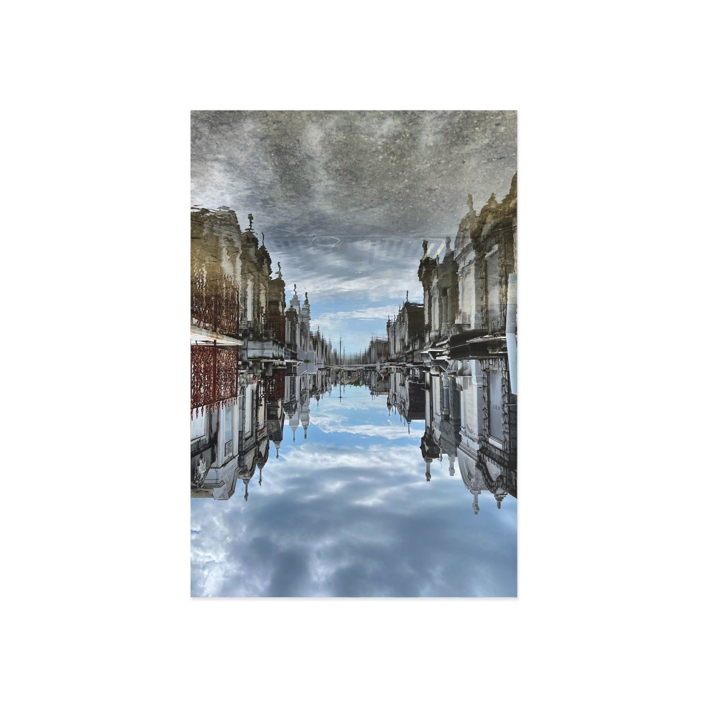 Avenue of Forever Postcard