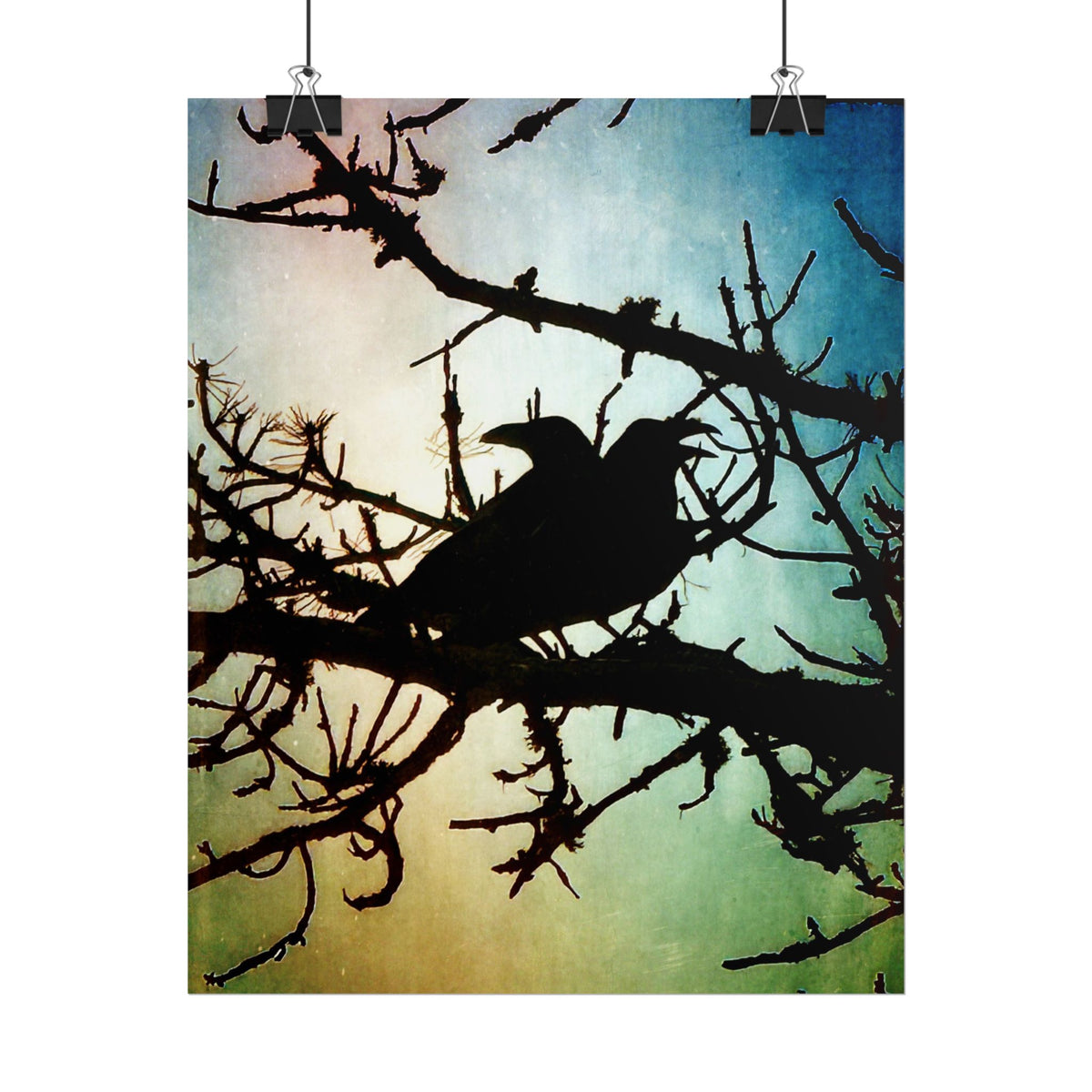 Rolled Posters