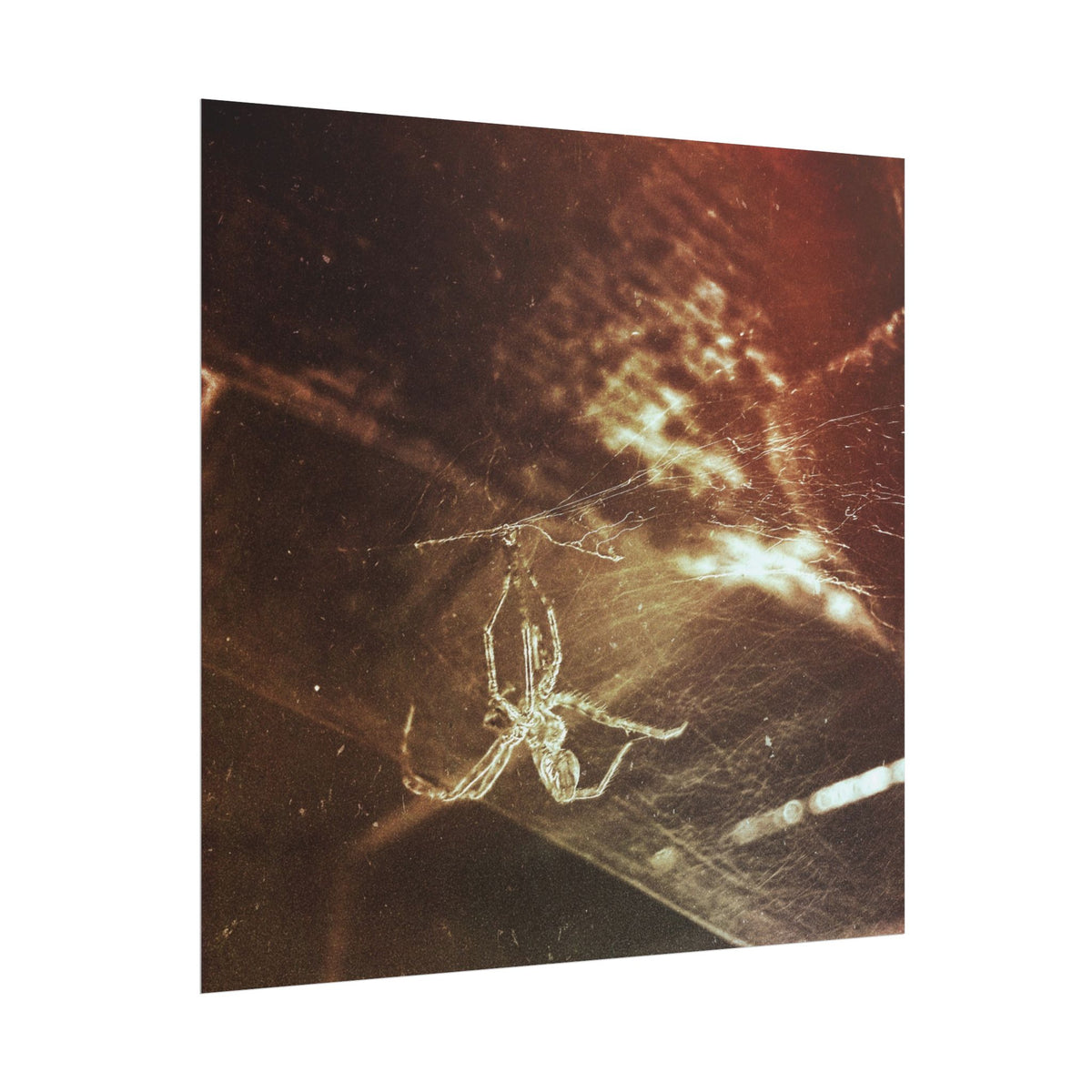 Discarded Nightmare Rolled Posters