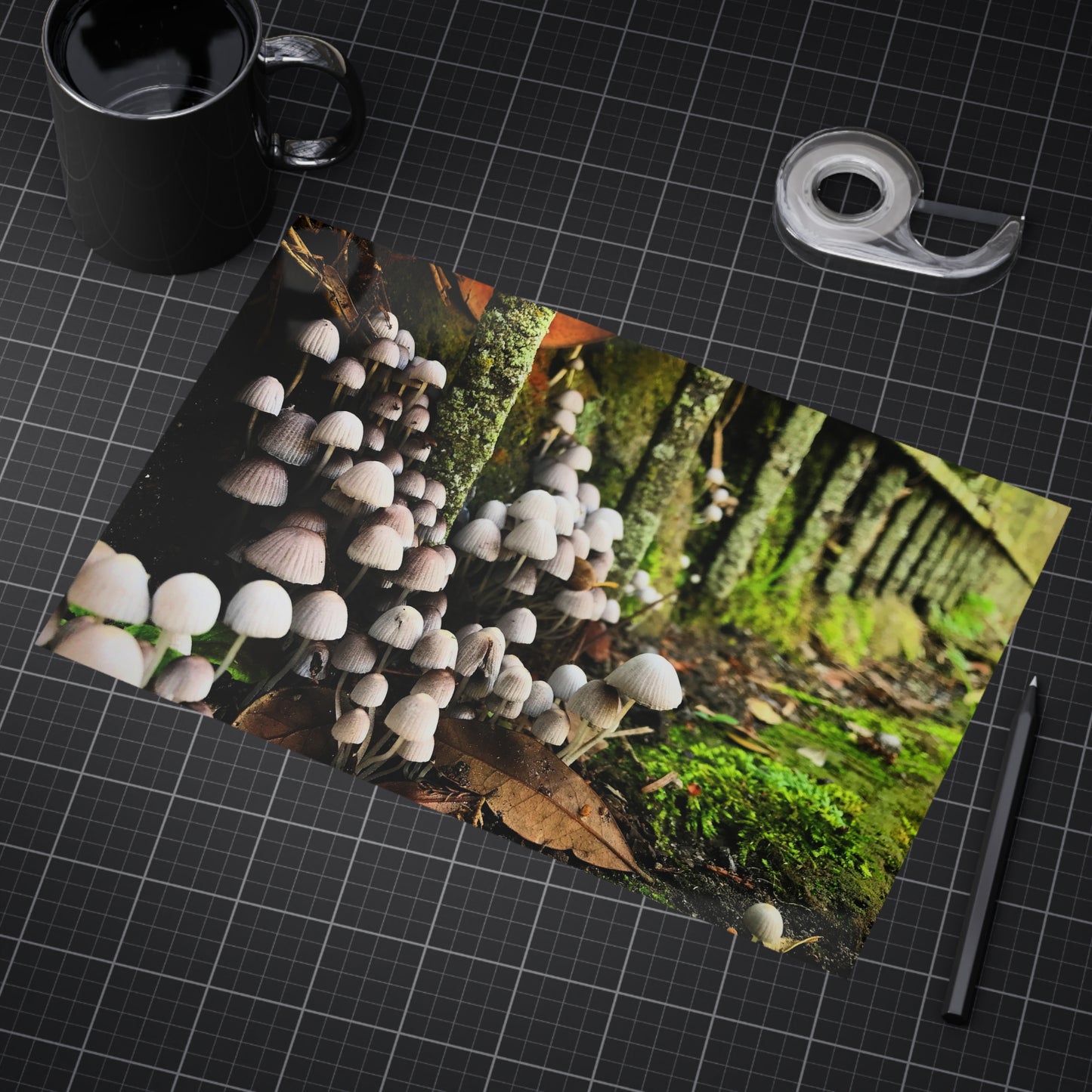 The Kingdom Paper Print