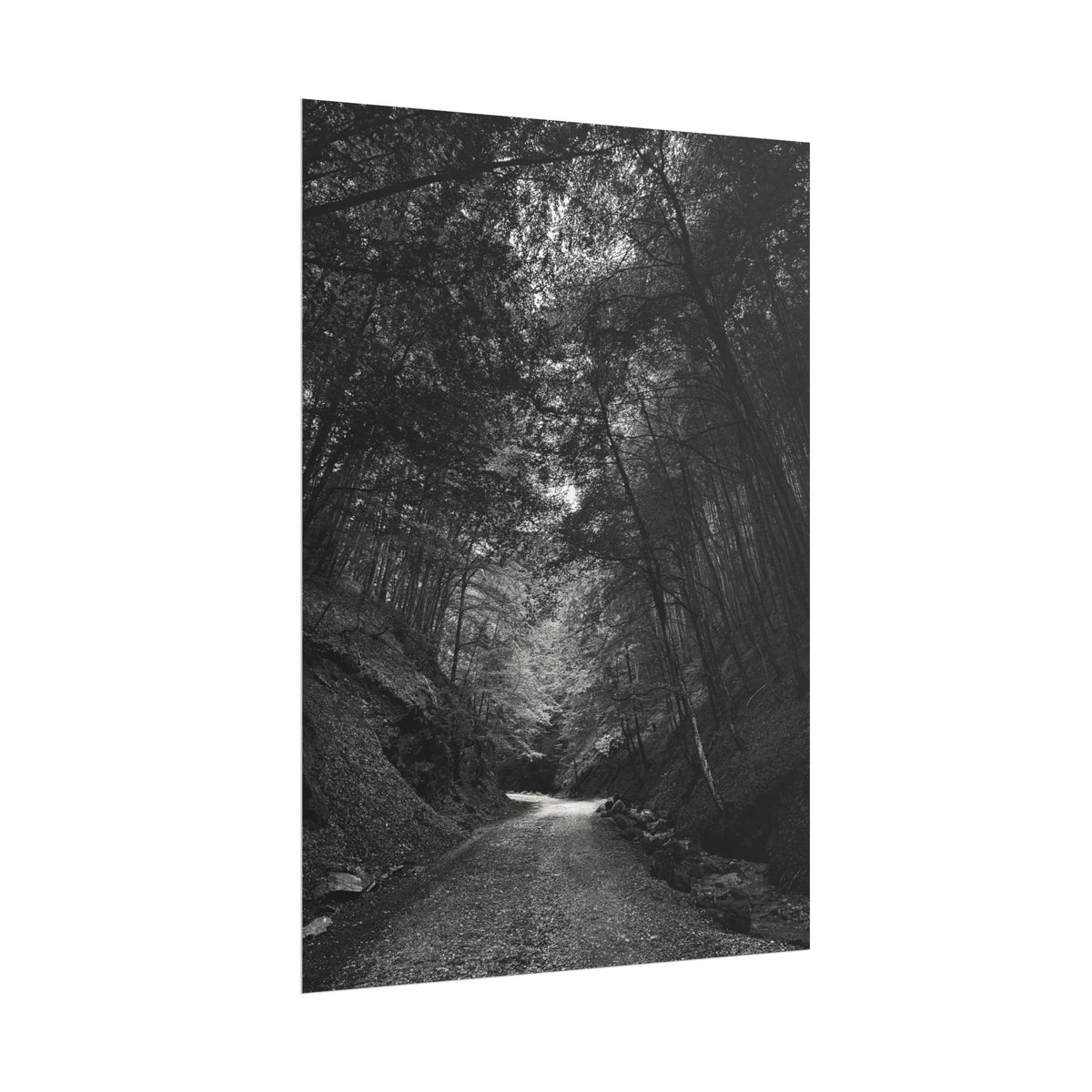 Carpathian Forest Rolled Posters