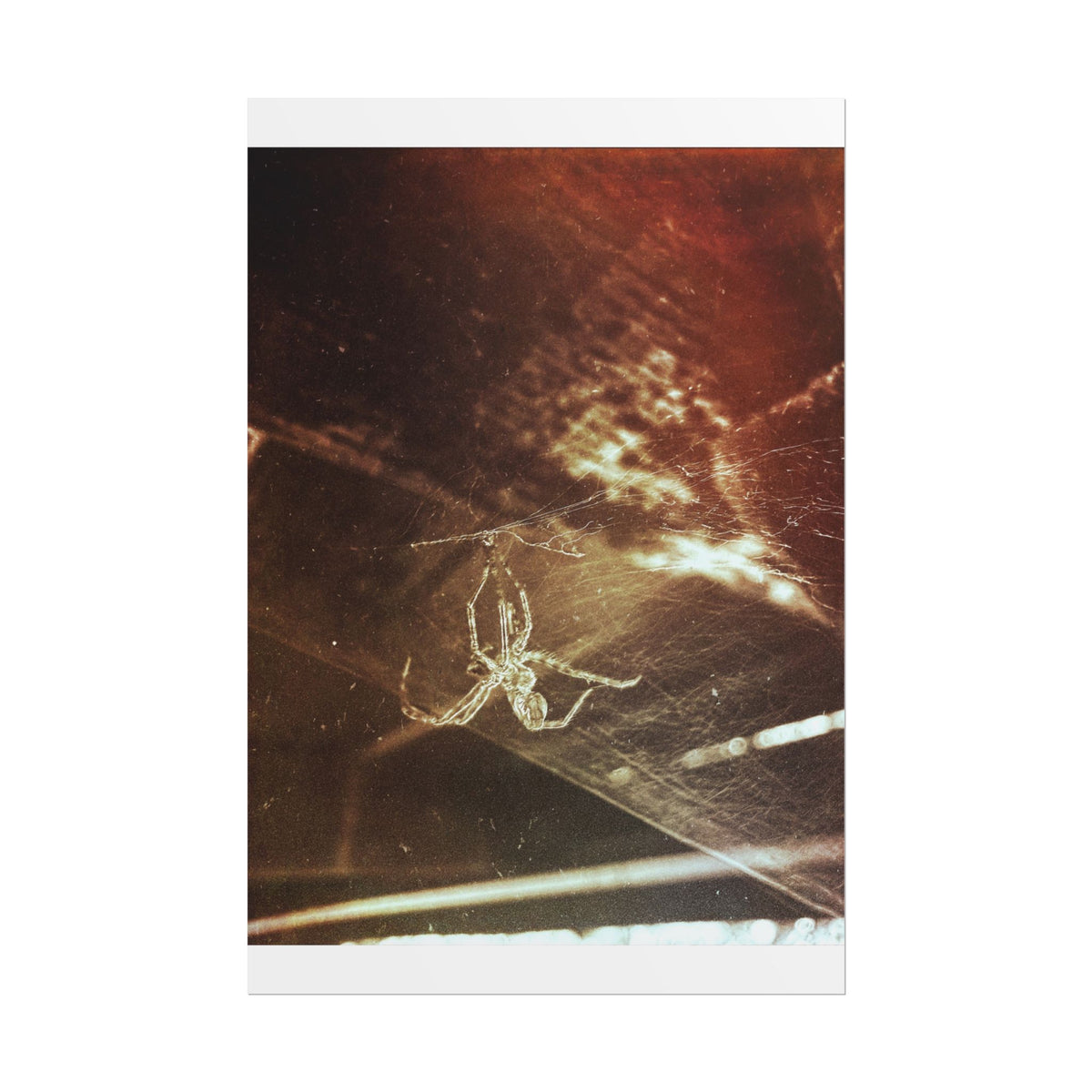 Discarded Nightmare Rolled Posters