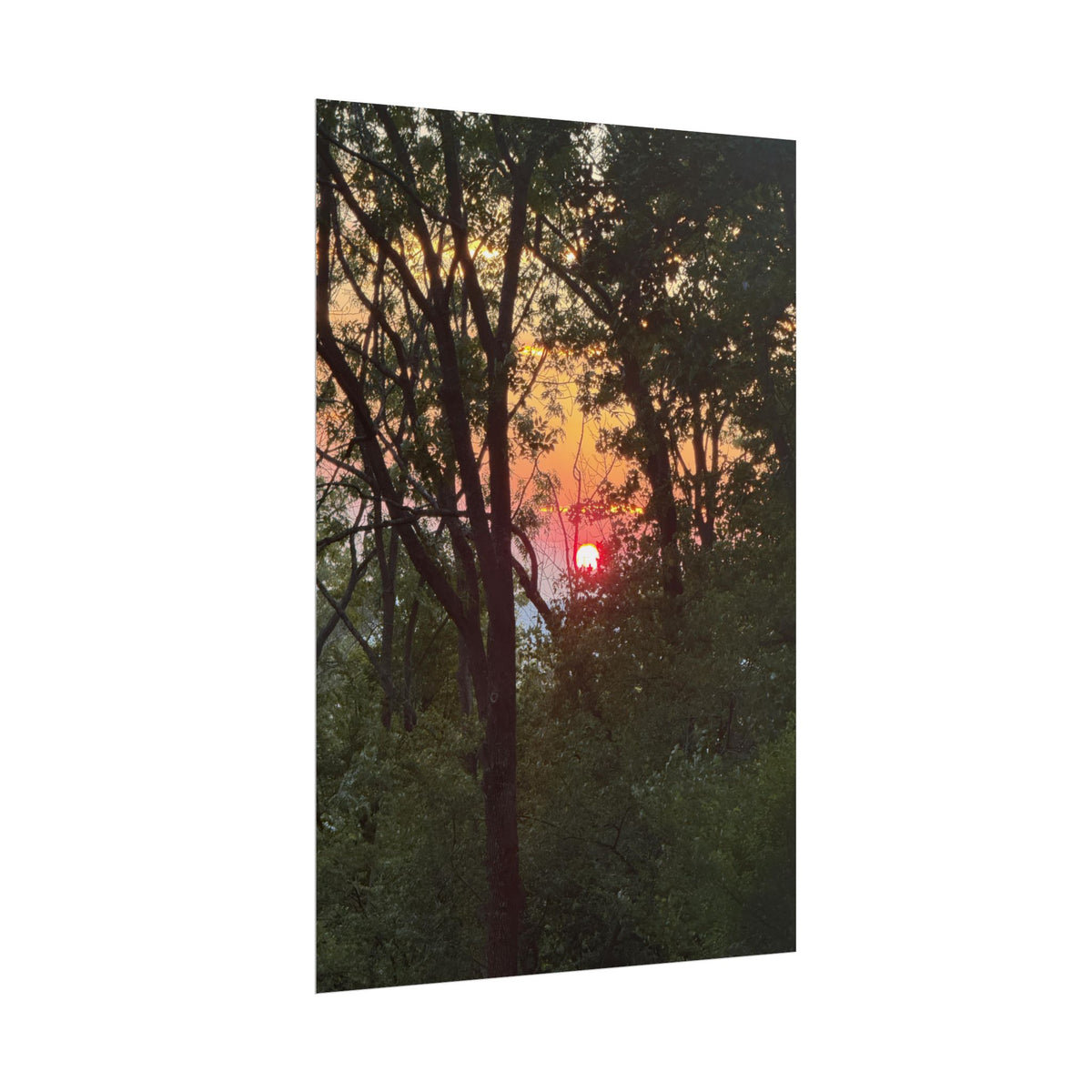 Carpathian Sunset Rolled Posters