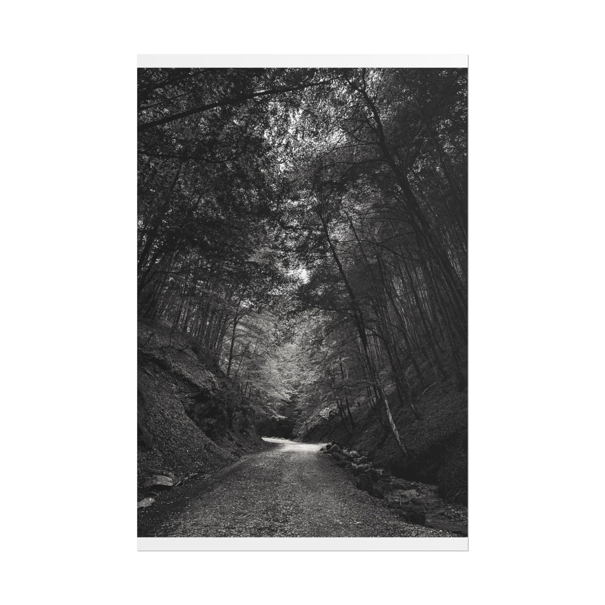 Carpathian Forest Rolled Posters