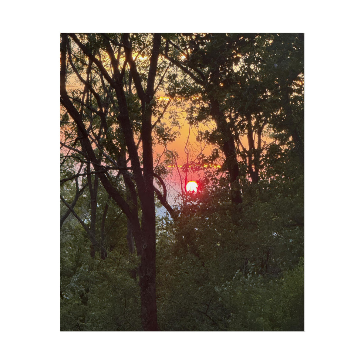 Carpathian Sunset Rolled Posters