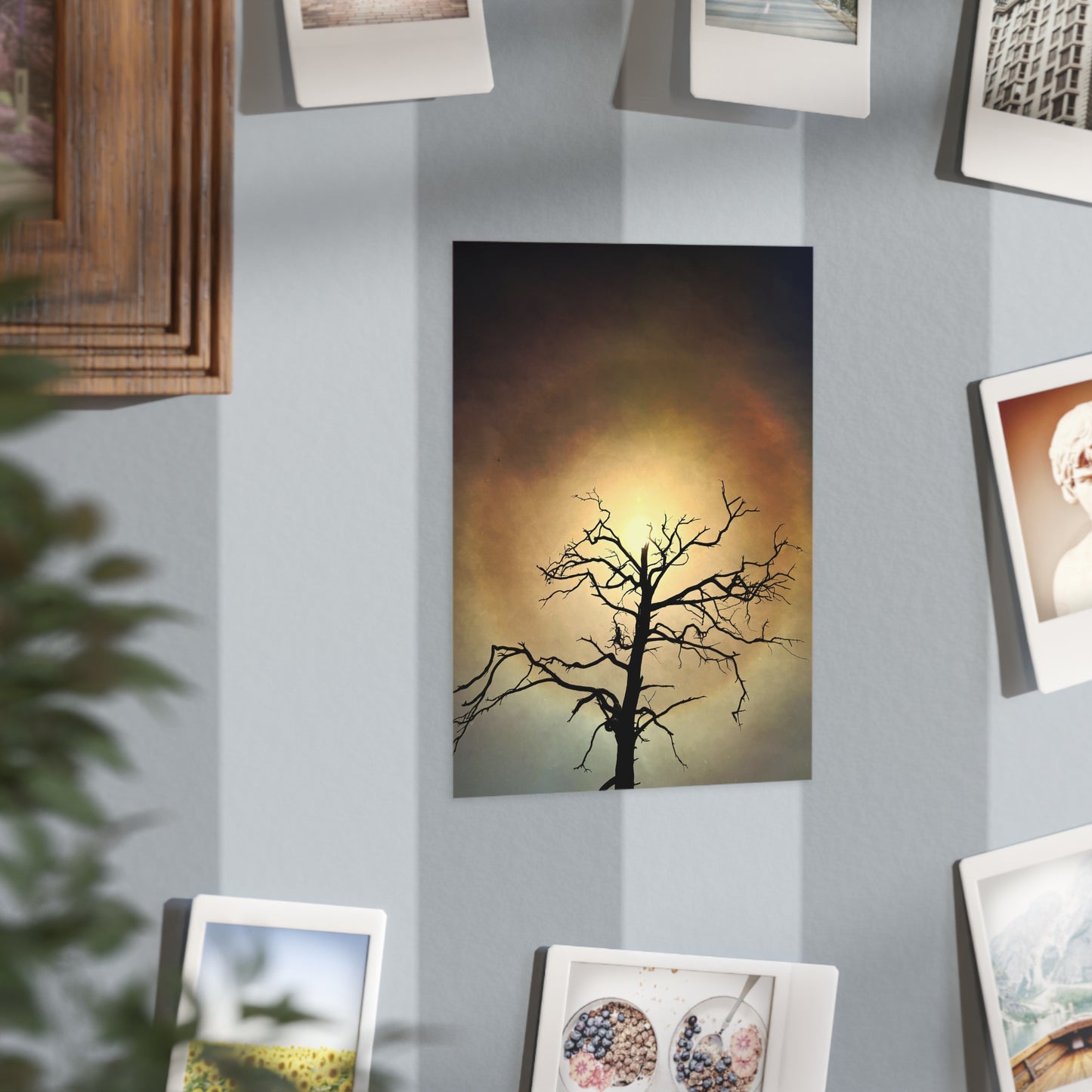 The Eye Opens Paper Print