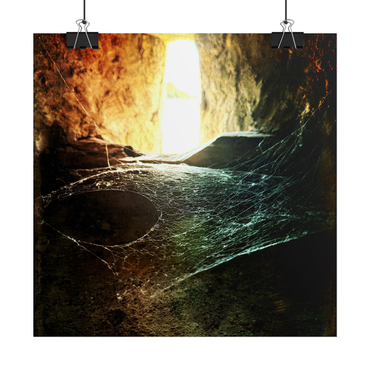 Where the Spiders Spin Rolled Posters