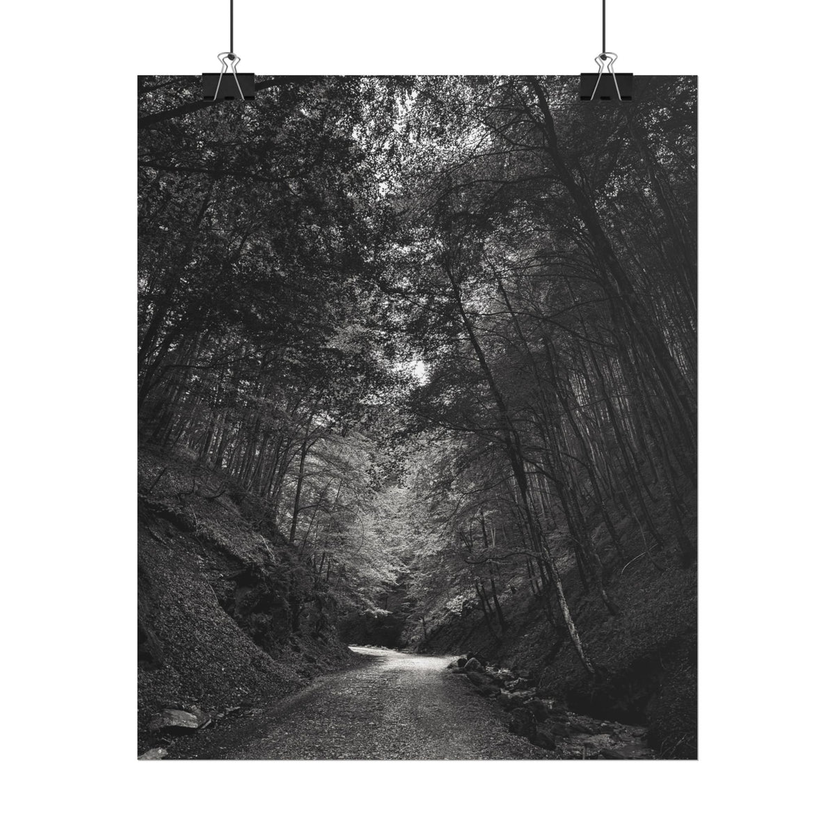 Carpathian Forest Rolled Posters
