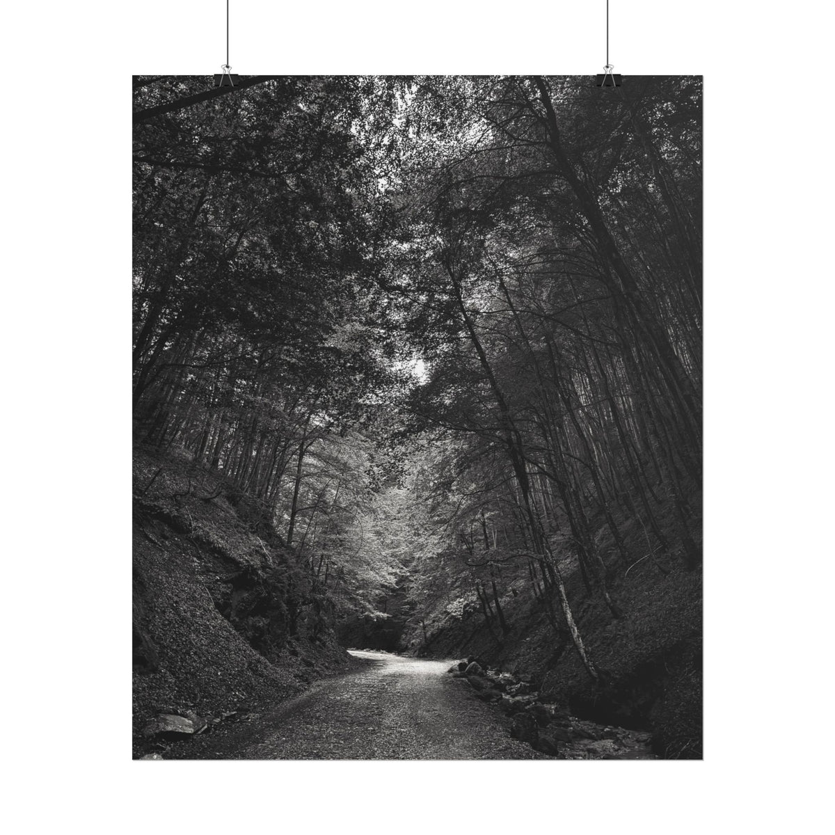 Carpathian Forest Rolled Posters