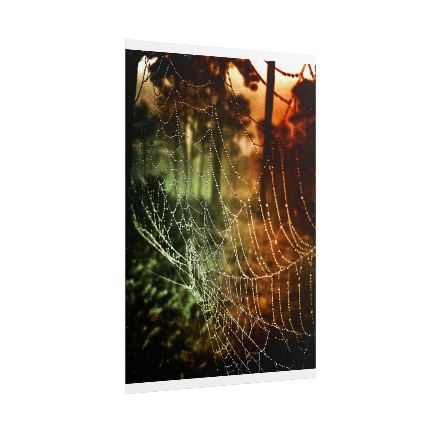 Tears of Dawn (V.2) Rolled Poster