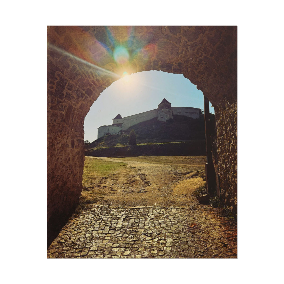 Rasnov Fortress Rolled Posters