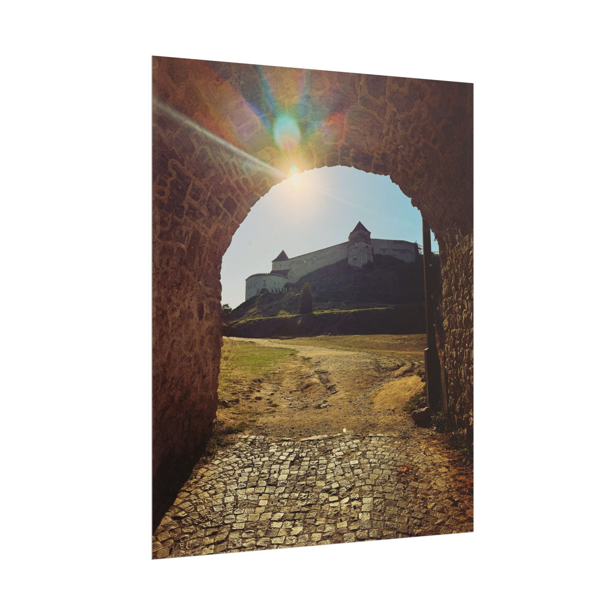 Rasnov Fortress Rolled Posters