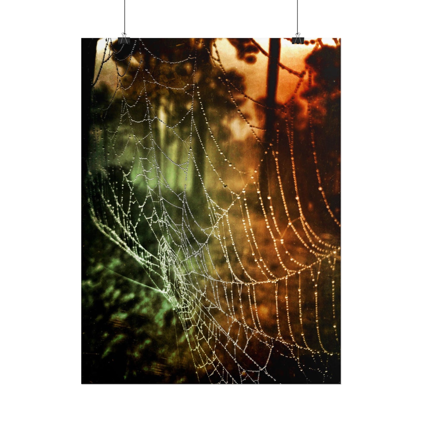 Tears of Dawn (V.2) Rolled Poster
