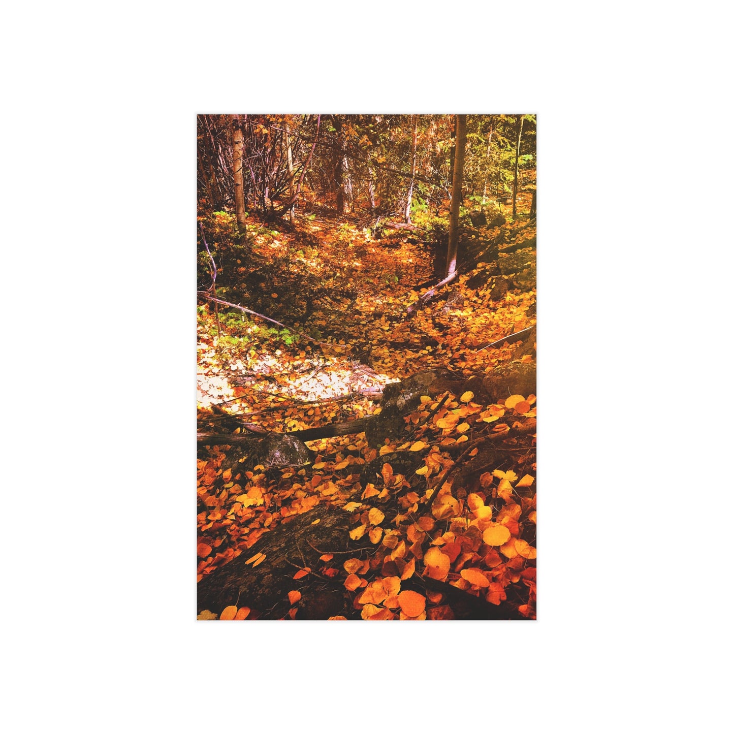Autumn Gold Paper Print