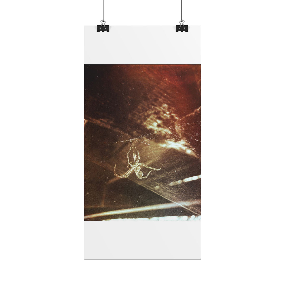 Discarded Nightmare Rolled Posters