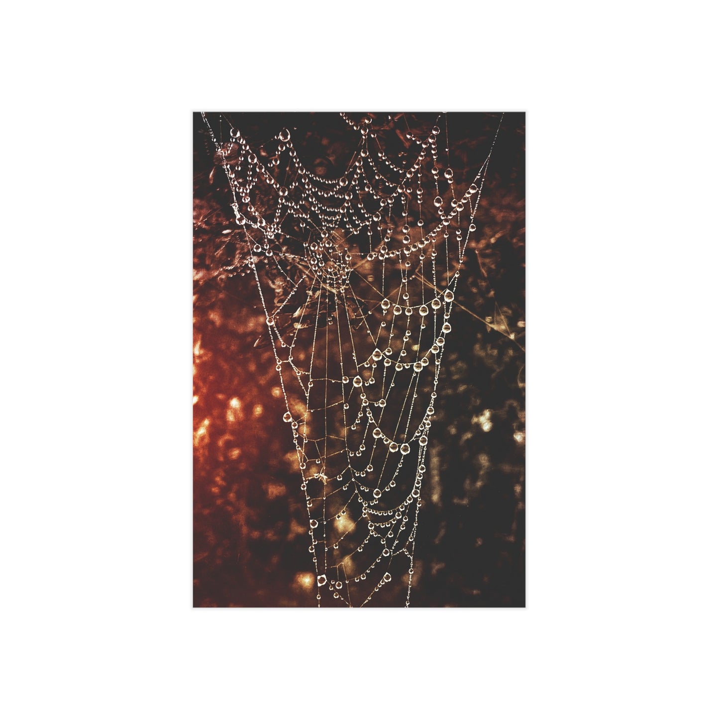 Jewels of Dawn (Version 2) Paper Print