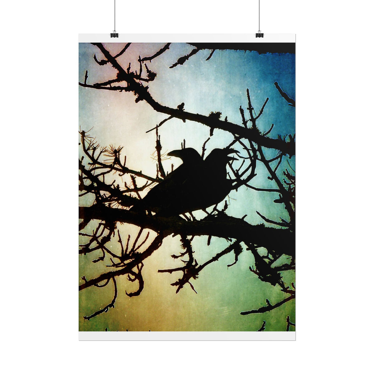 Rolled Posters