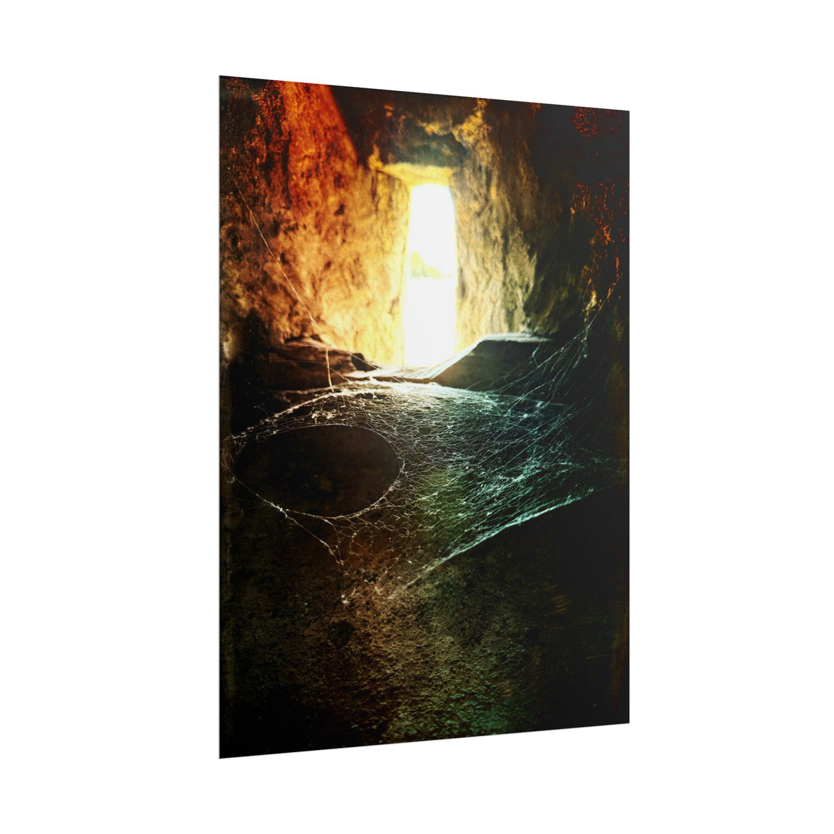 Where the Spiders Spin Rolled Posters