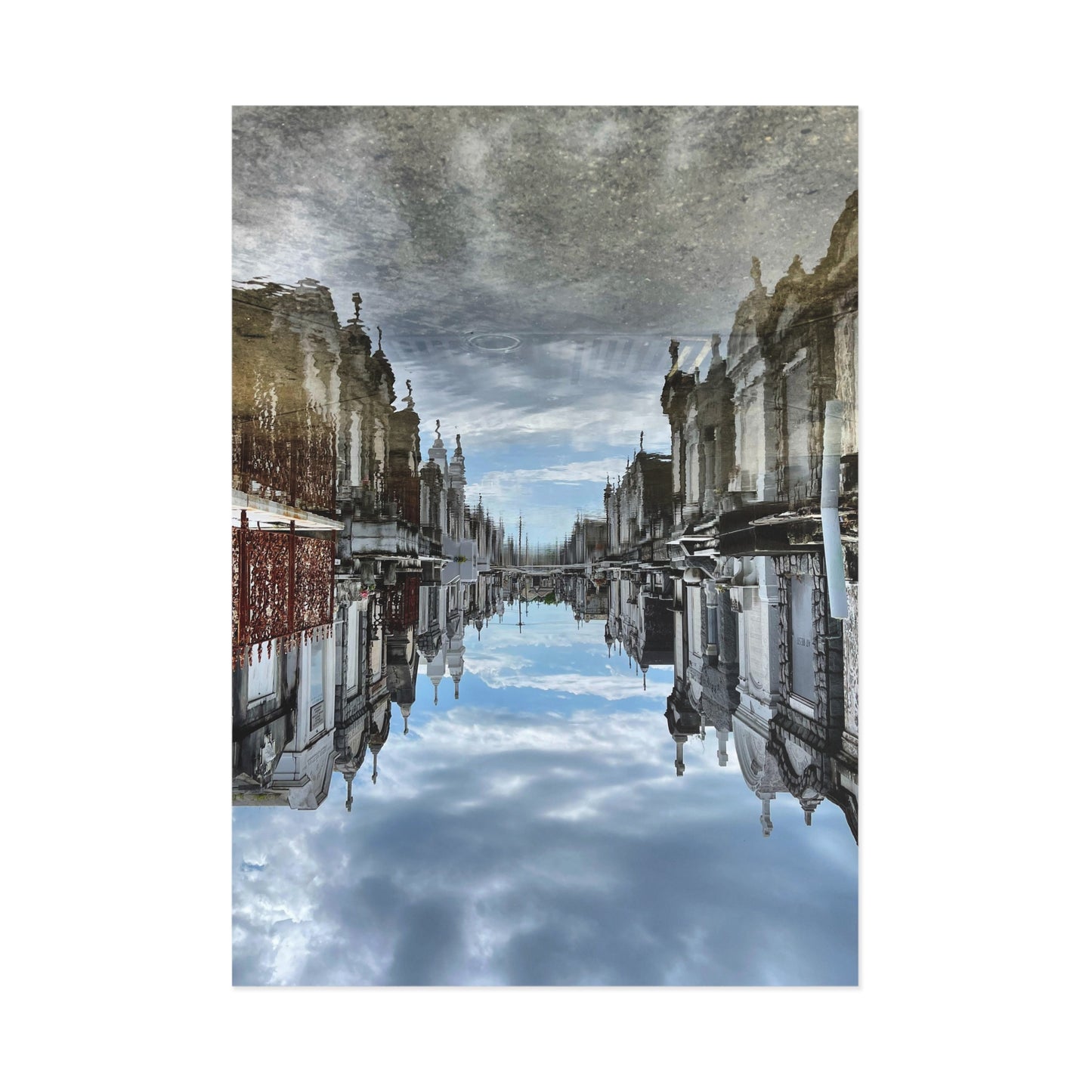 Avenue of Forever Postcard