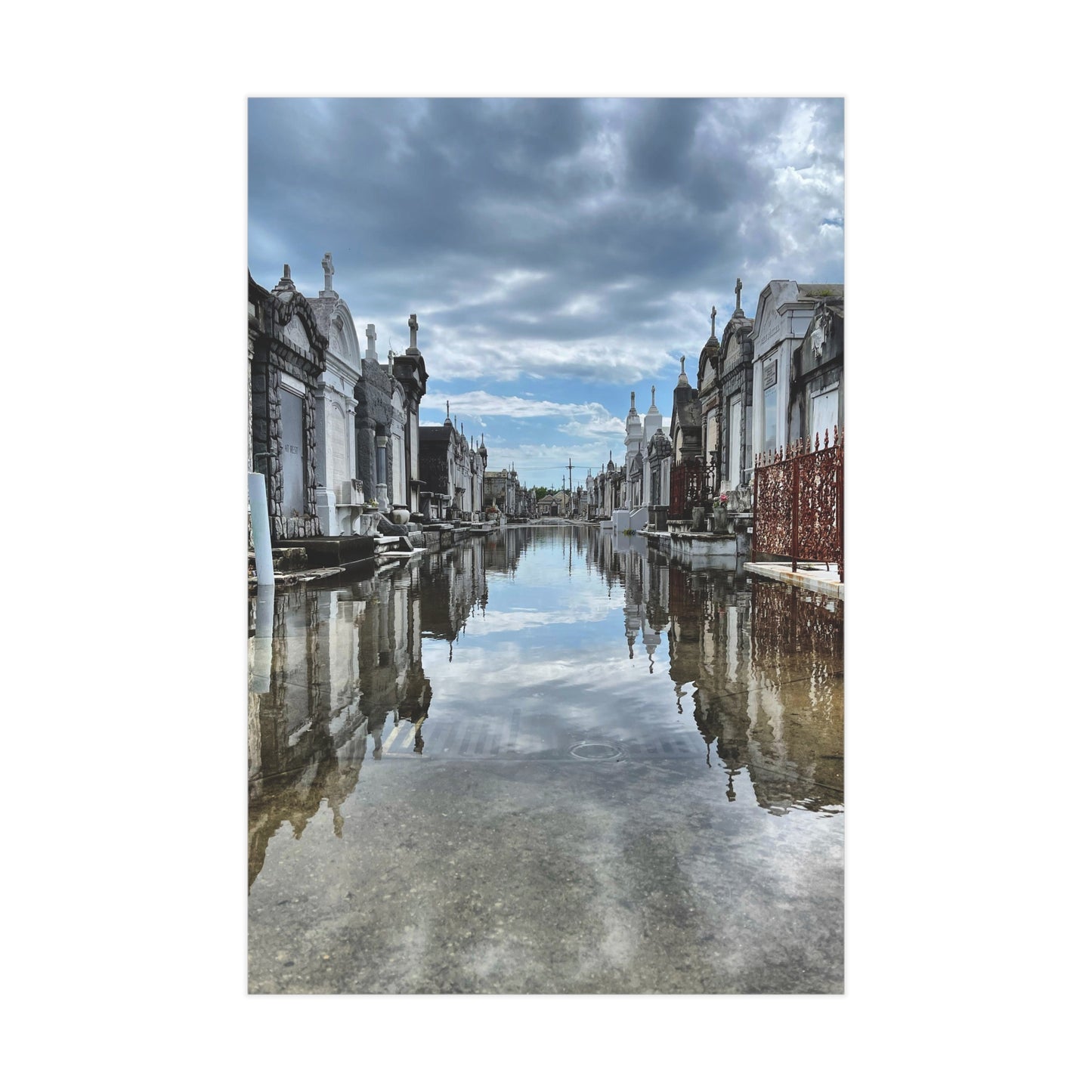Avenue of Forever Paper Print