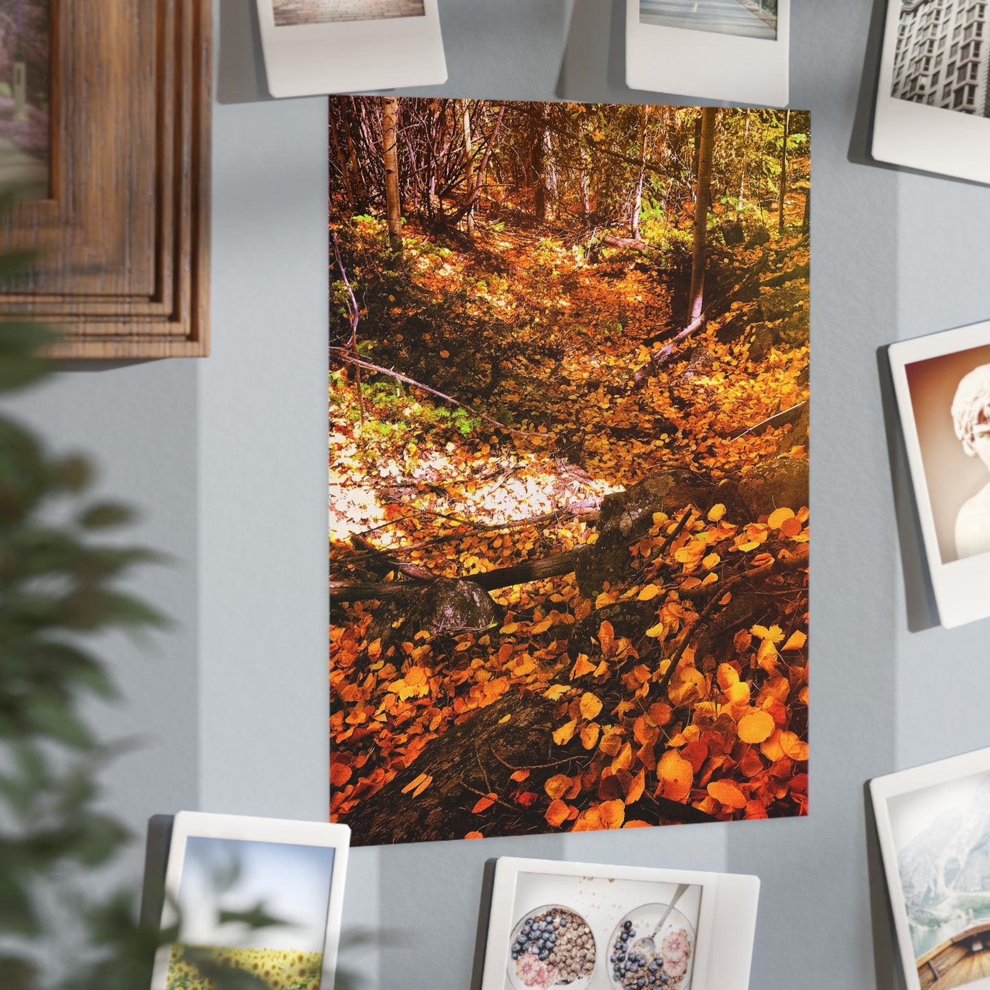 Autumn Gold Paper Print