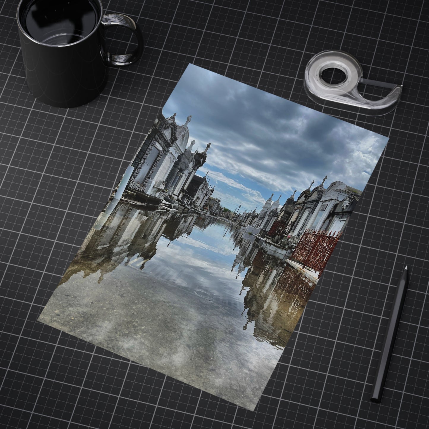 Avenue of Forever Paper Print