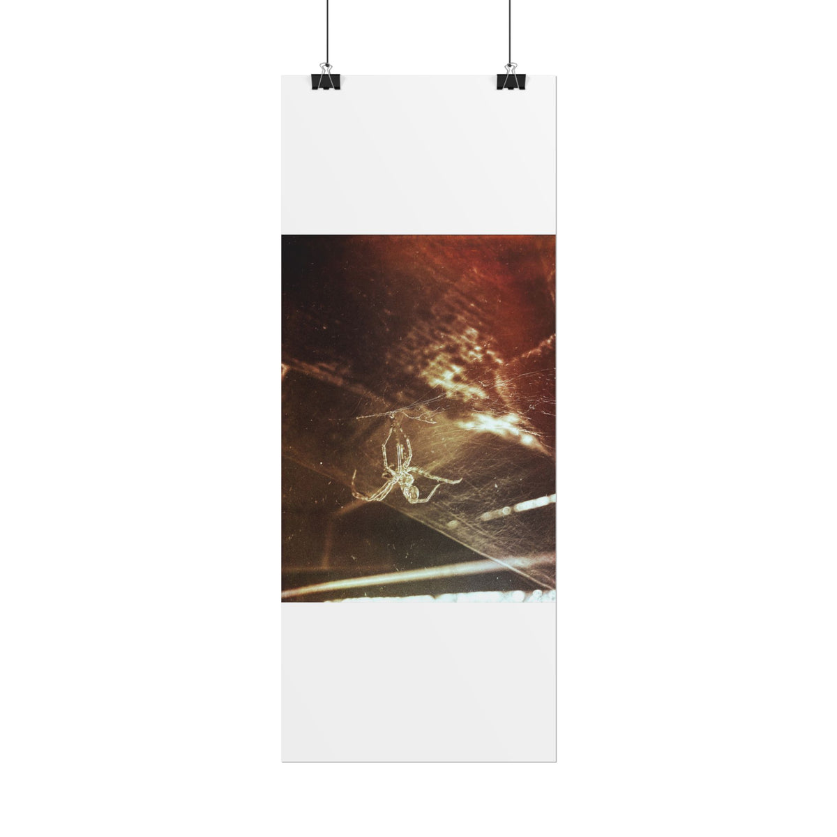 Discarded Nightmare Rolled Posters