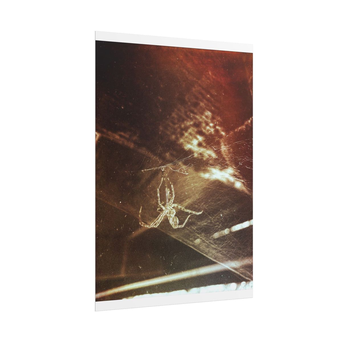 Discarded Nightmare Rolled Posters