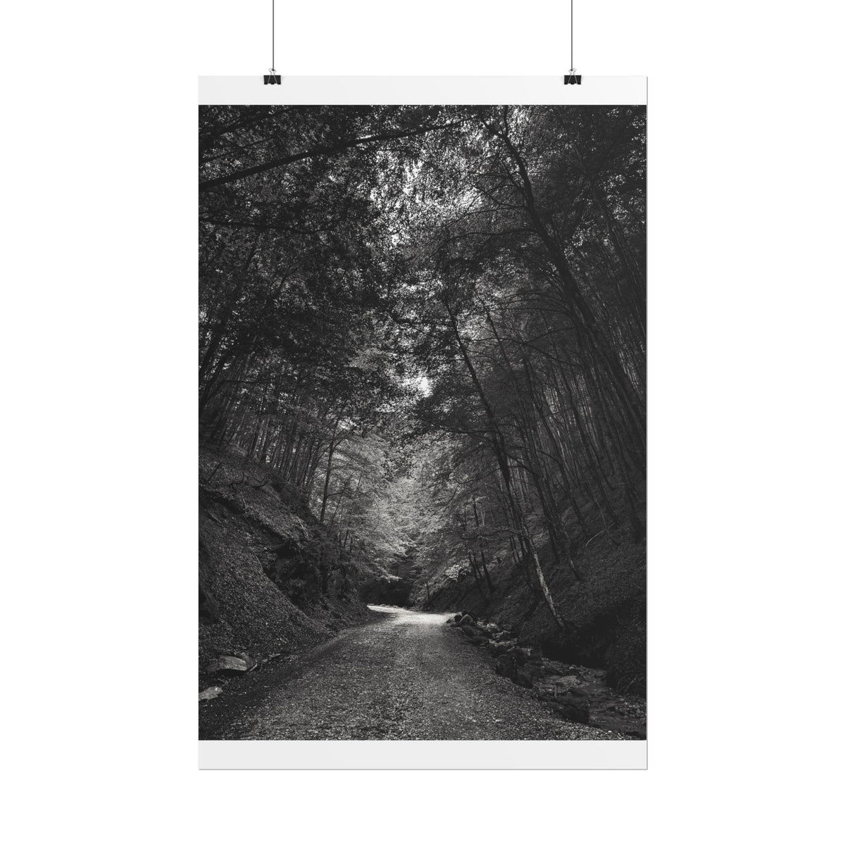 Carpathian Forest Rolled Posters