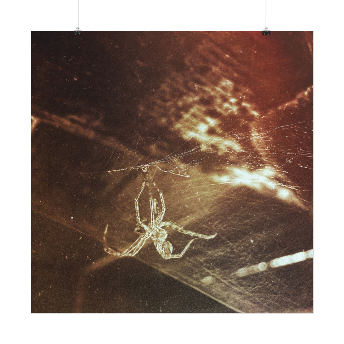 Discarded Nightmare Rolled Posters