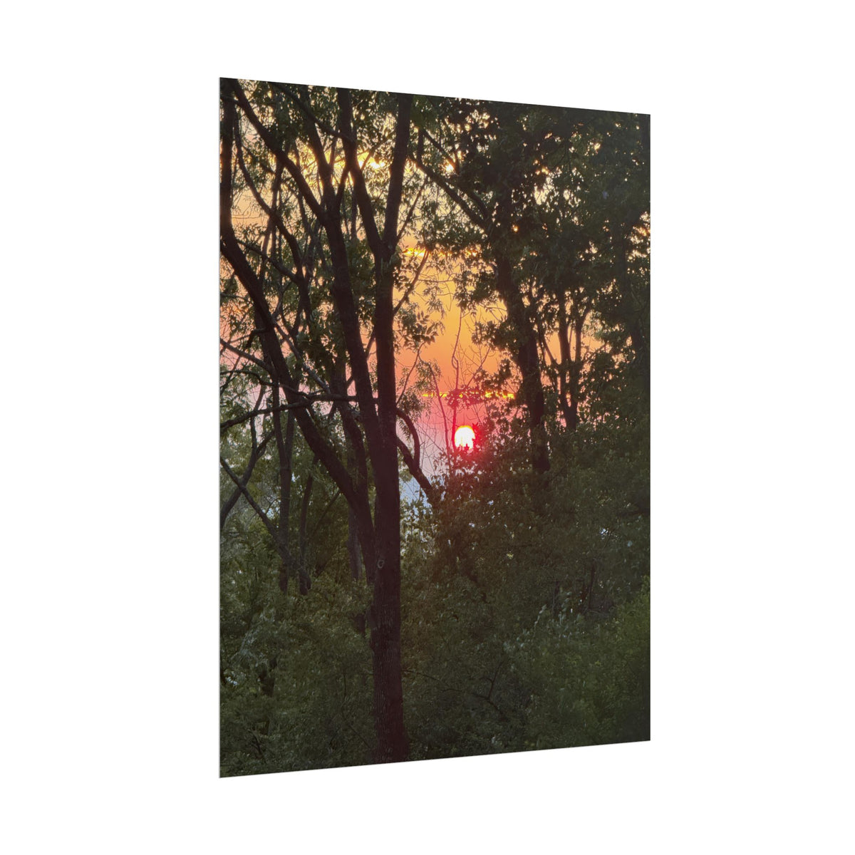 Carpathian Sunset Rolled Posters