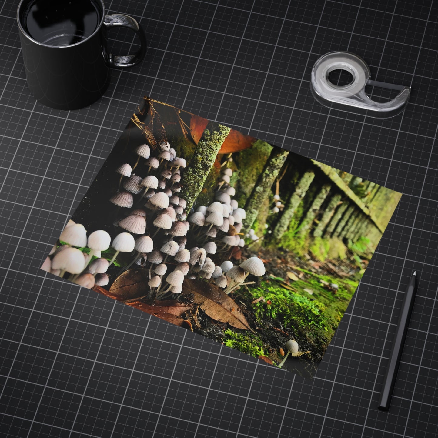 The Kingdom Paper Print