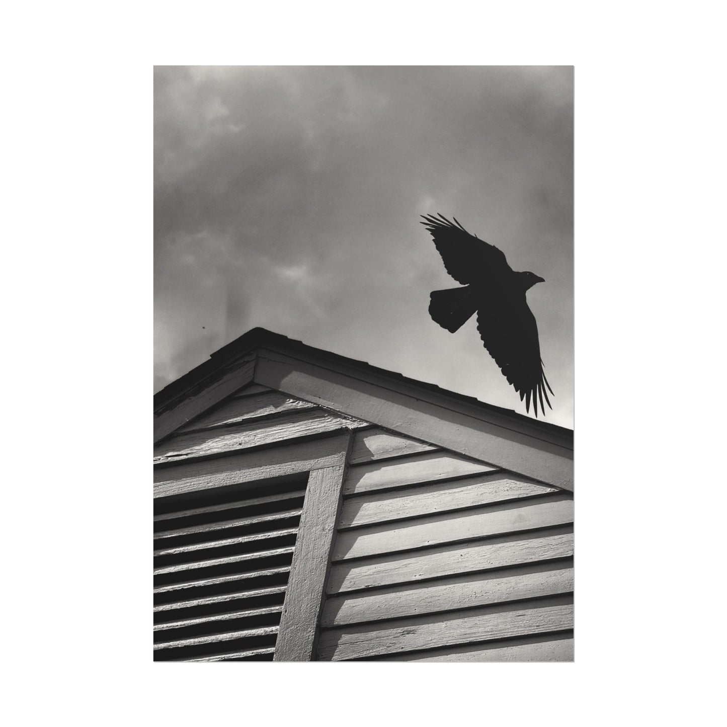 The Guardian At Dawn Rolled Poster