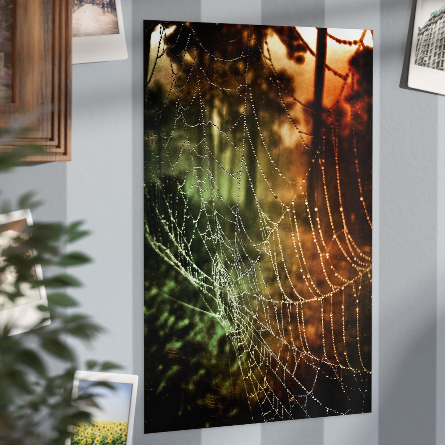 Tears of Dawn Paper Print