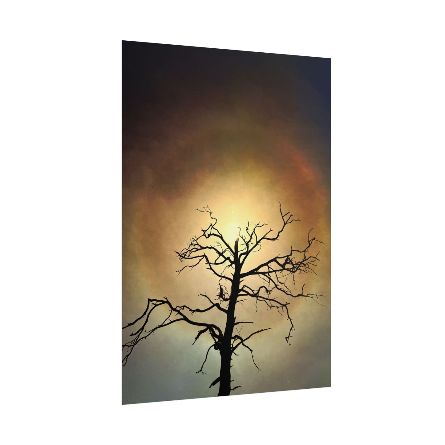 The Great Eye Opens Rolled Poster