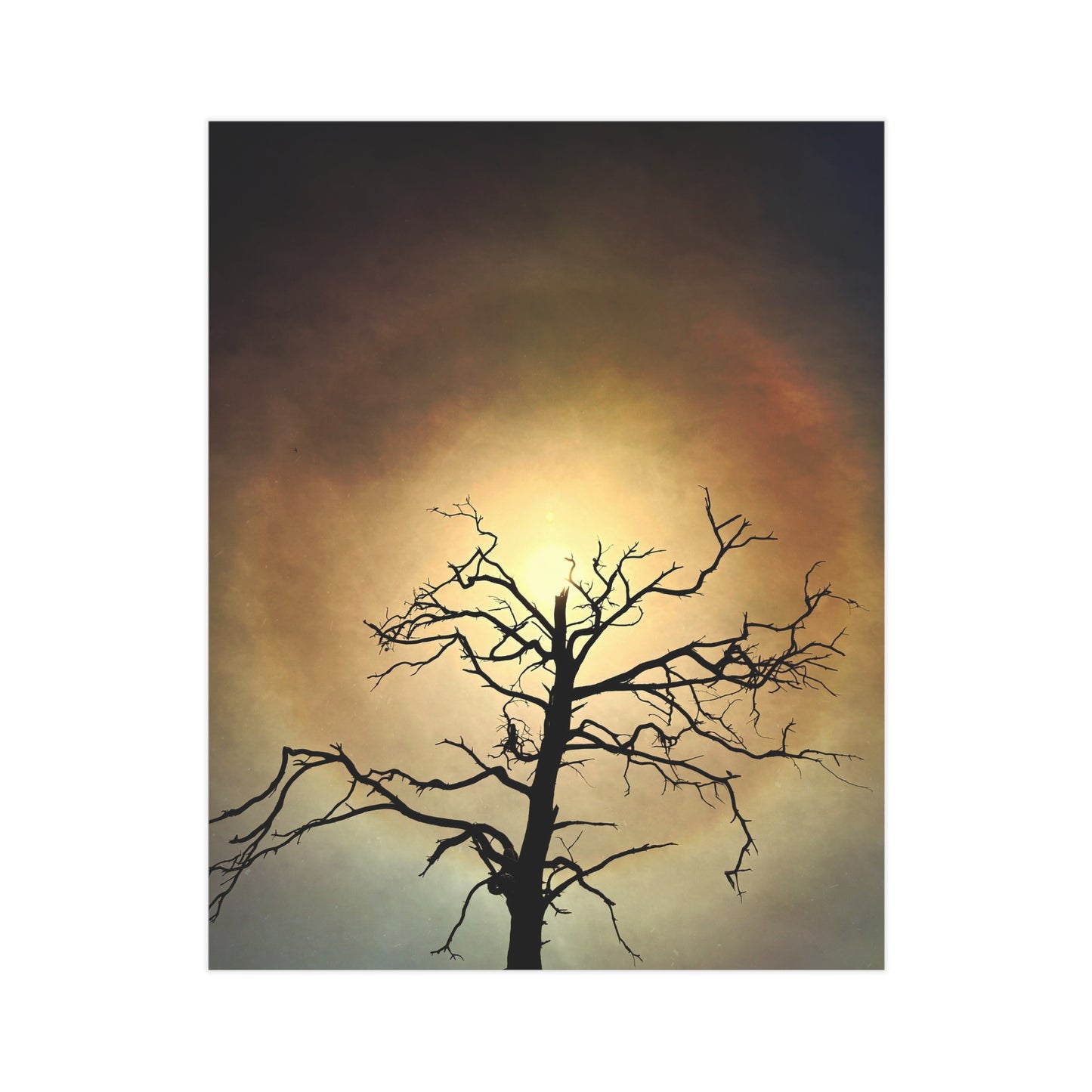 The Eye Opens Paper Print