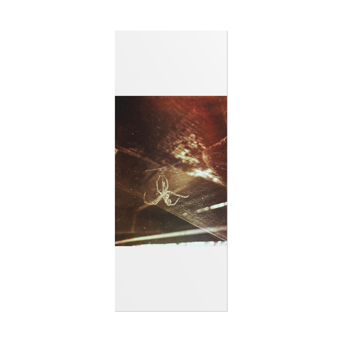 Discarded Nightmare Rolled Posters