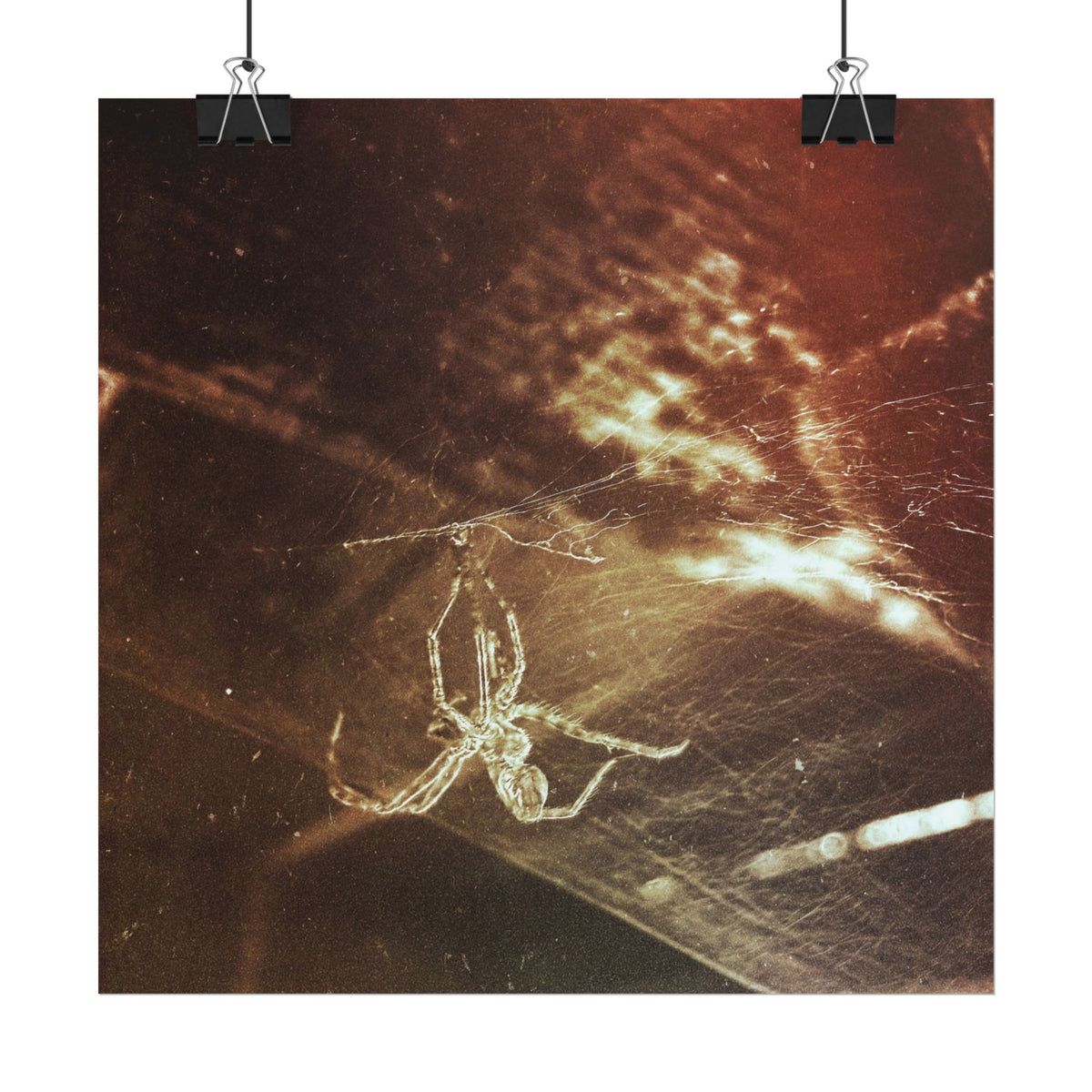 Discarded Nightmare Rolled Posters
