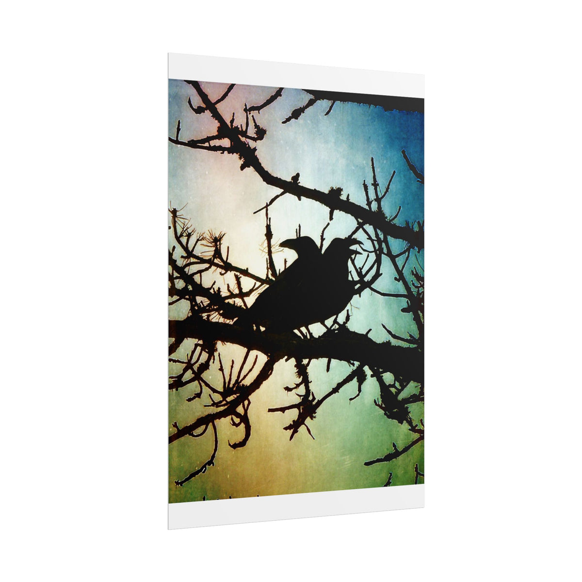 Rolled Posters