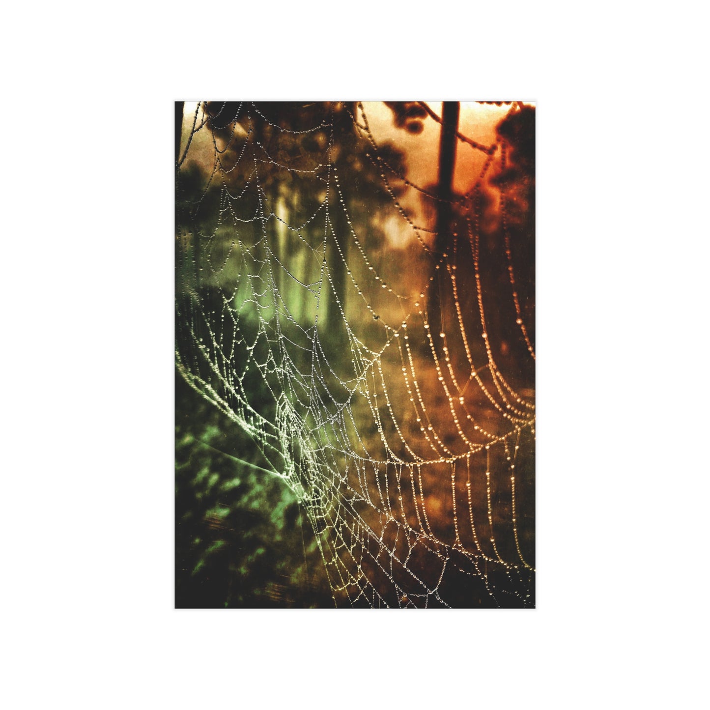 Tears of Dawn Paper Print