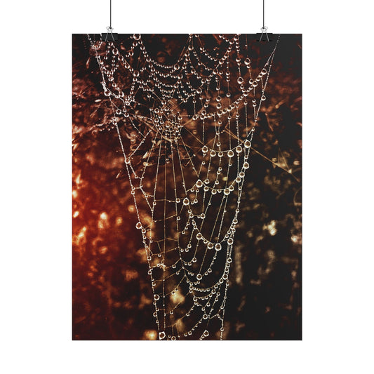 Jewels of Dawn V.2 Rolled Poster
