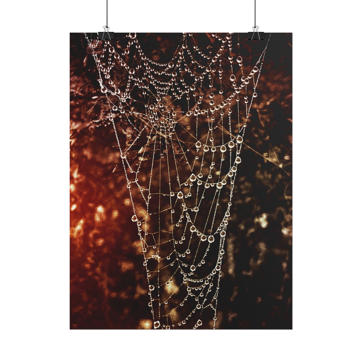 Jewels of Dawn V.2 Rolled Poster