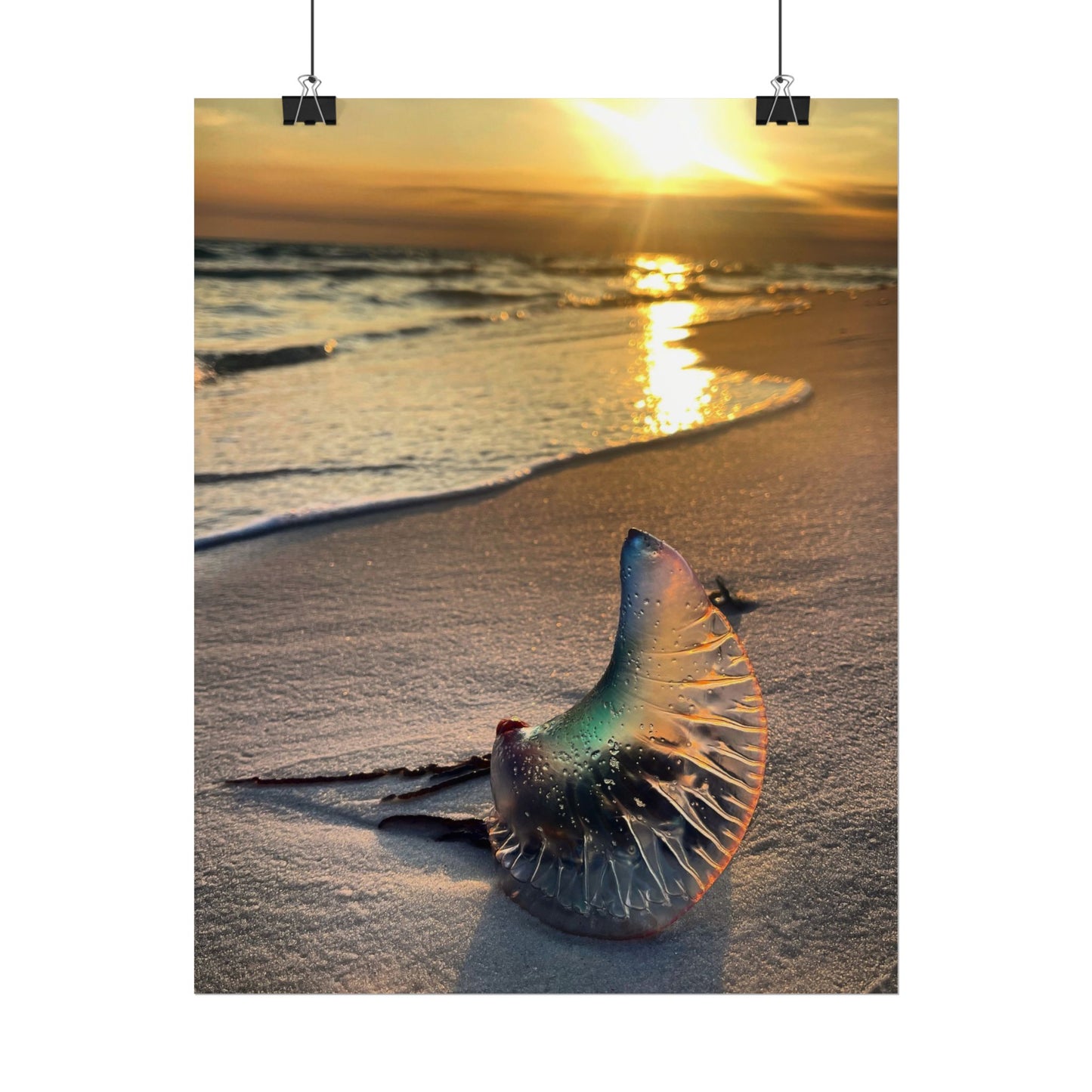 The Day The Moon Washed Ashore Rolled Poster