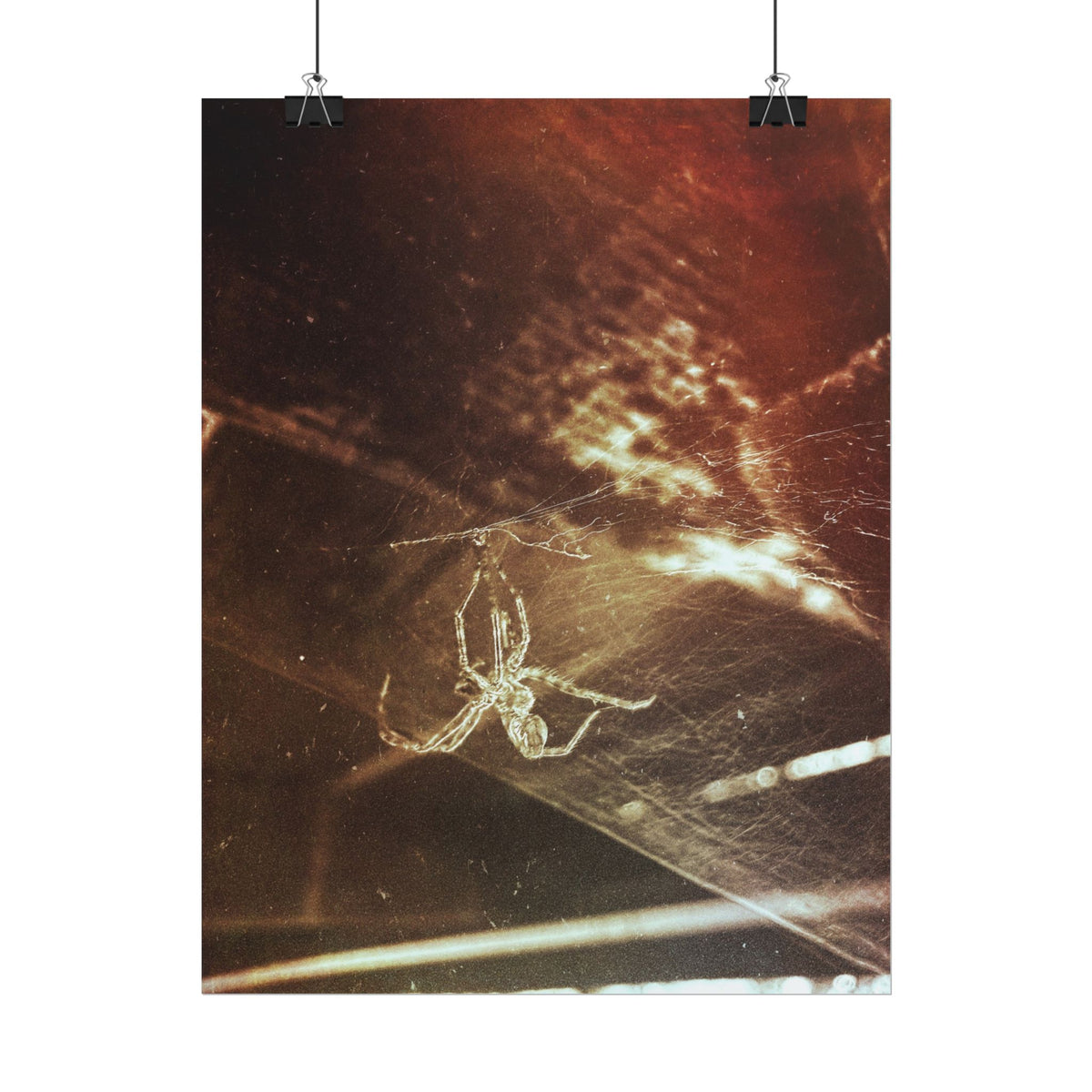 Discarded Nightmare Rolled Posters