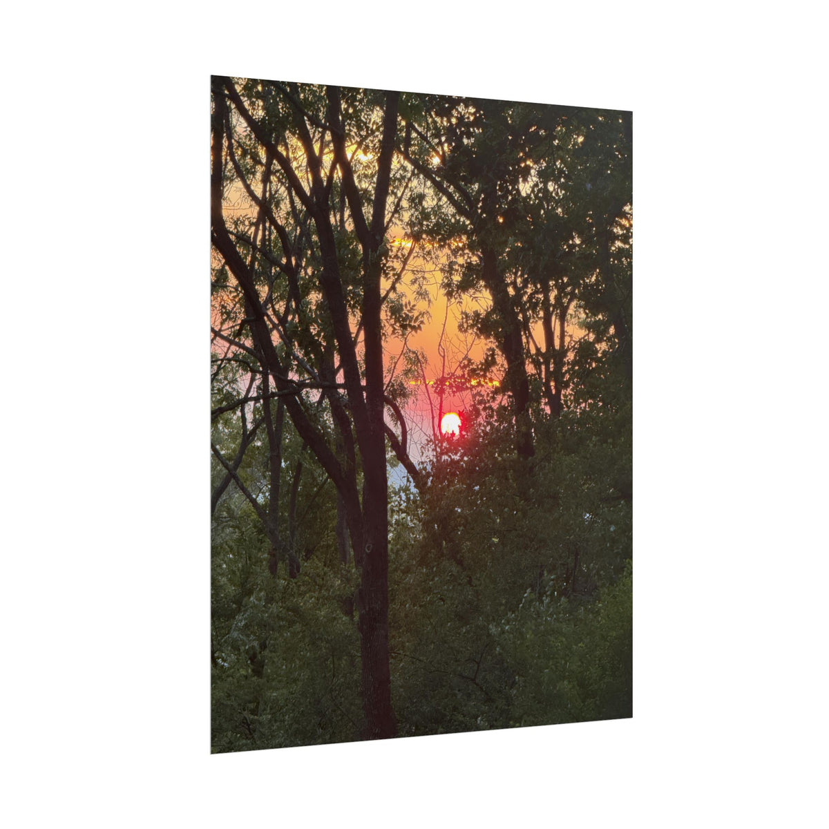 Carpathian Sunset Rolled Posters