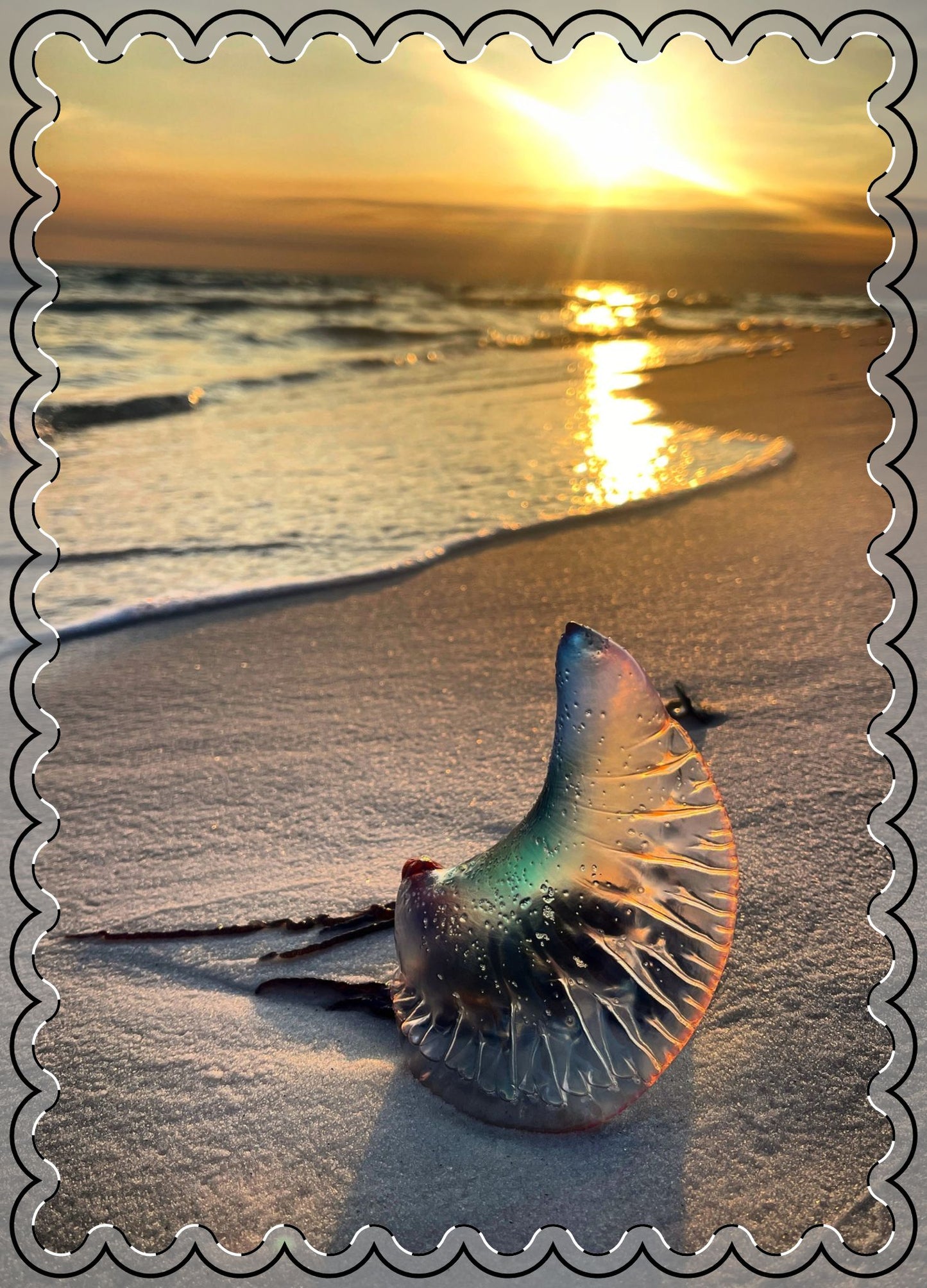 The Day The Moon Washed Ashore Flat Greeting Cards (envelopes included)